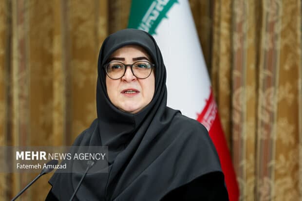 فاطمه مهاجرانی، سخنگوی دولت